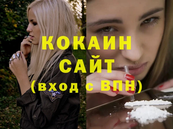 стаф Заводоуковск