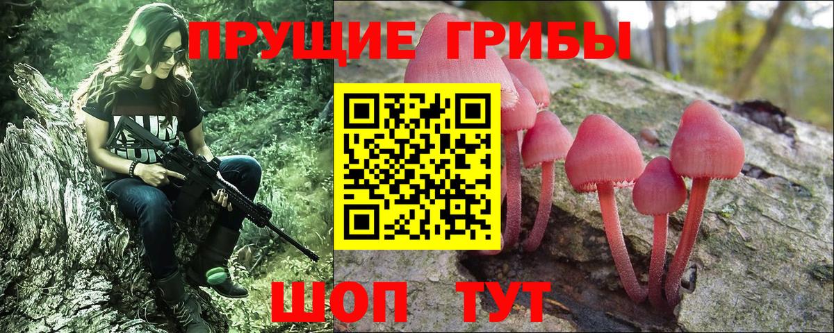 Галлюциногенные грибы GOLDEN TEACHER Среднеуральск
