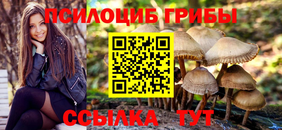 Галлюциногенные грибы мицелий  Вход с VPN  Среднеуральск 